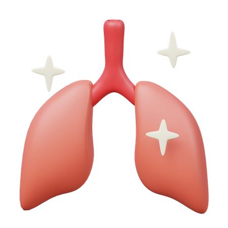 Lungs  3D Illustration