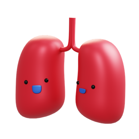 Lungs 3D Illustration