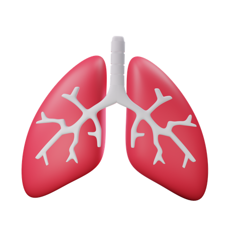 肺  3D Icon