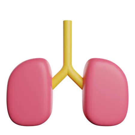 Lungs Organ Body 3D Icon