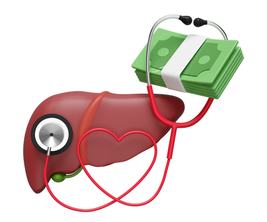 Lungs Cost  3D Icon