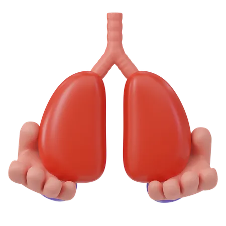 Lungs Donation  3D Icon