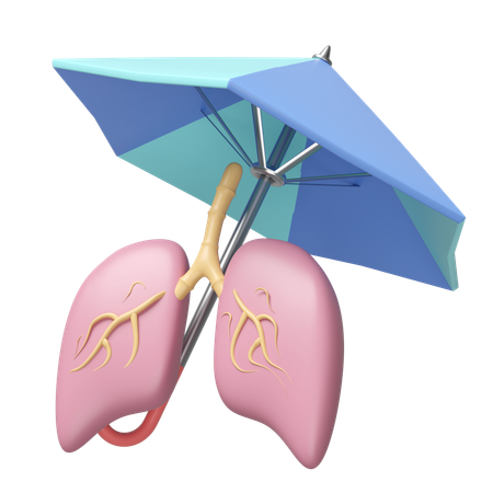 Lungs Insurance  3D Icon