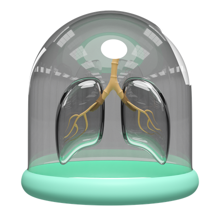 Lungs Realistic  3D Icon