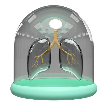 Lungs Realistic  3D Icon