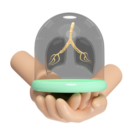 Lungs With Glass Dome  3D Icon