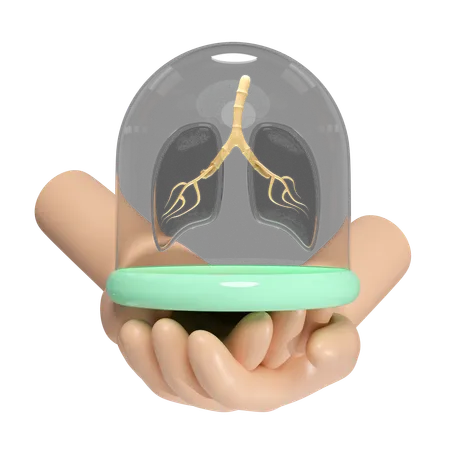 Lungs With Glass Dome  3D Icon