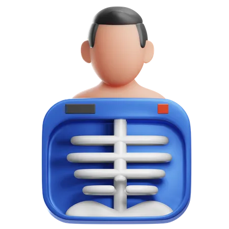 Lungs Xray  3D Illustration