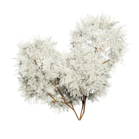 Lush White Bush  3D Icon