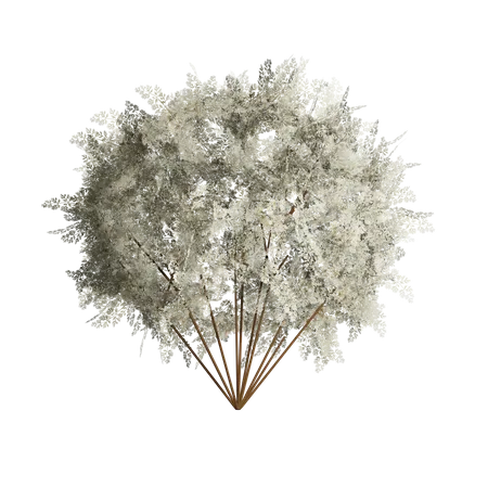 Lush White Bush  3D Icon