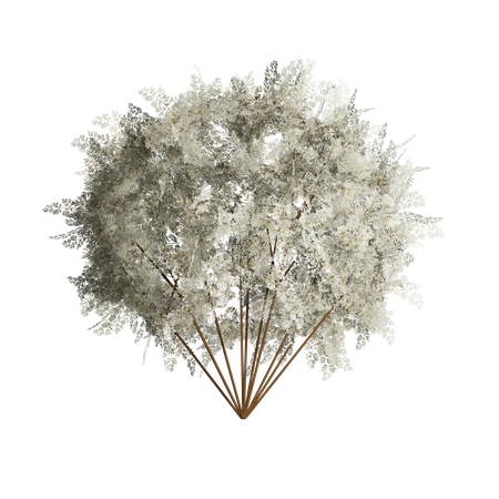 Lush White Bush  3D Icon