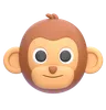 macaco