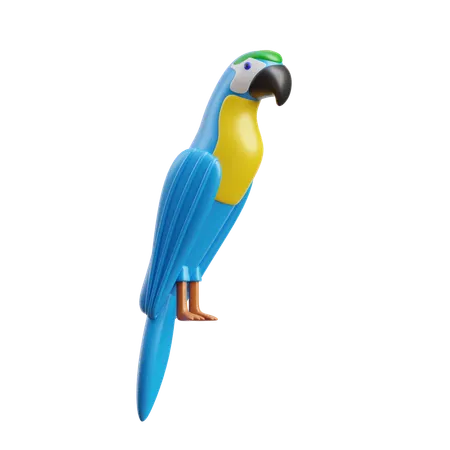 Macaw  3D Icon