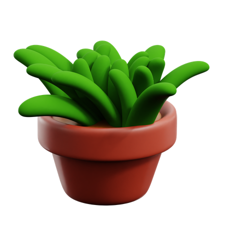 Maceta  3D Icon