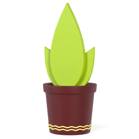 Maceta  3D Illustration