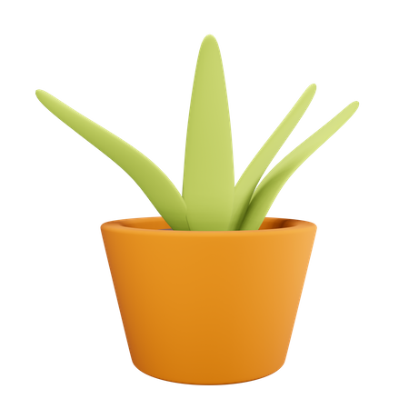 Maceta  3D Illustration