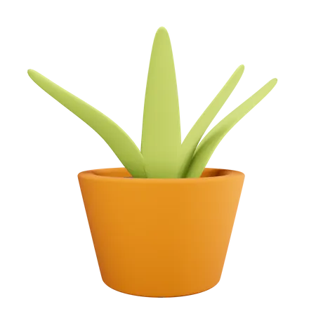 Maceta  3D Illustration
