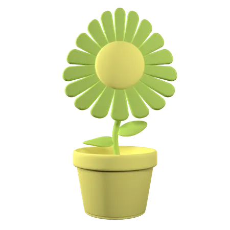 Maceta  3D Icon