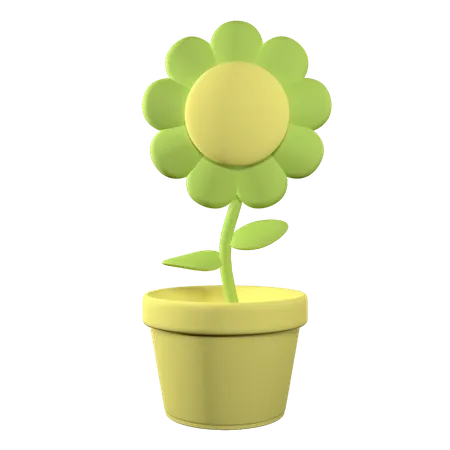 Maceta  3D Icon