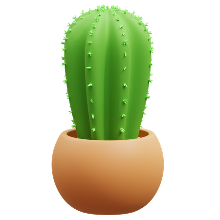 Maceta de cactus  3D Icon