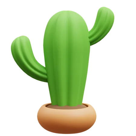 Maceta de cactus  3D Icon