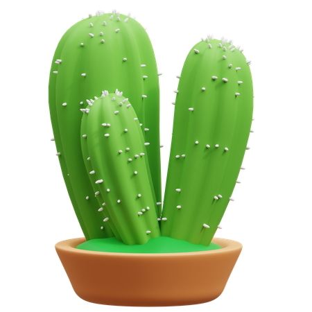 Maceta de cactus  3D Icon