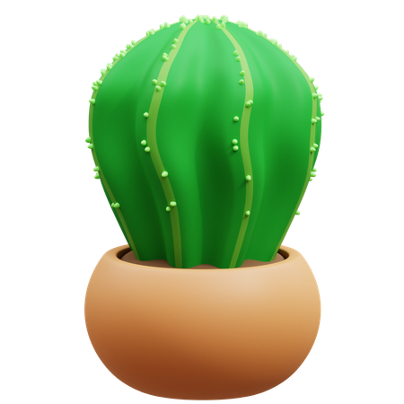 Maceta de cactus  3D Icon