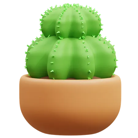 Maceta de cactus  3D Icon