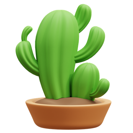 Maceta de cactus  3D Icon