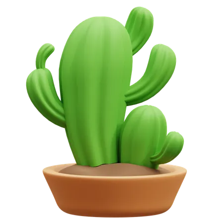 Maceta de cactus  3D Icon