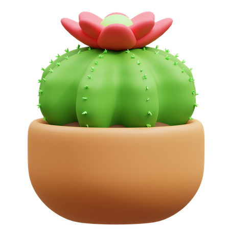 Maceta de cactus  3D Icon