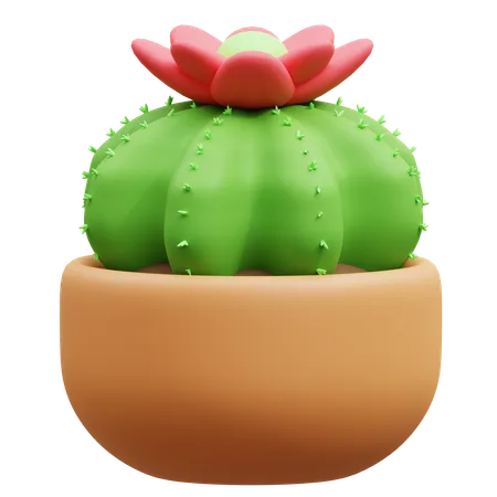 Maceta de cactus  3D Icon