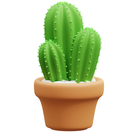 Maceta de cactus  3D Icon