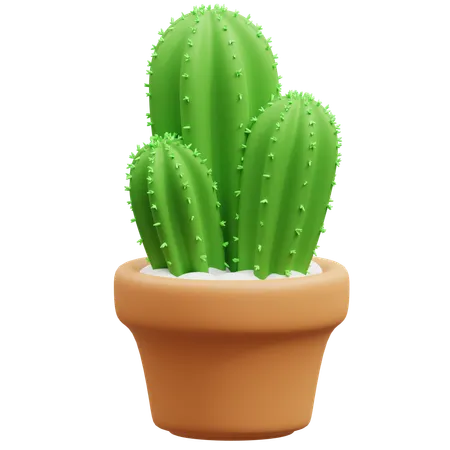 Maceta de cactus  3D Icon