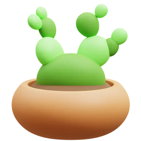 Maceta de cactus  3D Icon