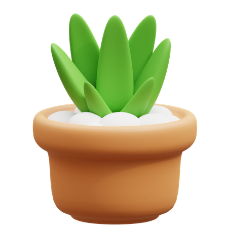 Maceta de cactus  3D Icon