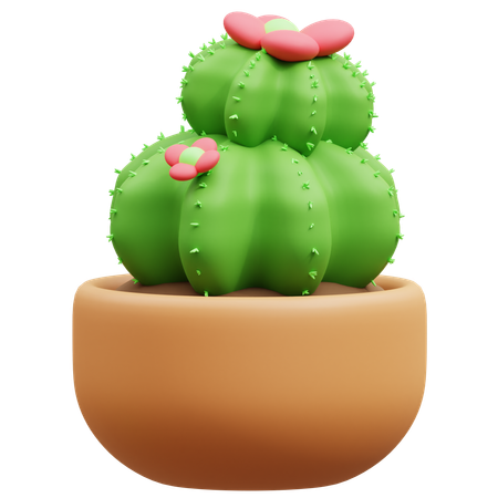 Maceta de cactus  3D Icon