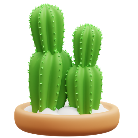 Maceta de cactus  3D Icon