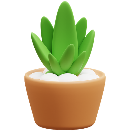 Maceta de cactus  3D Icon