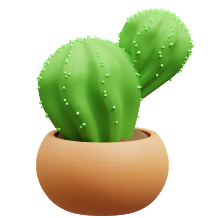 Maceta de cactus  3D Icon