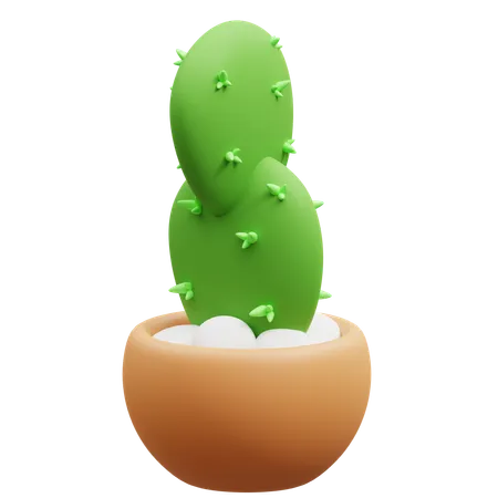 Maceta de cactus  3D Icon