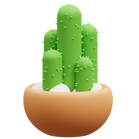 Maceta de cactus  3D Icon