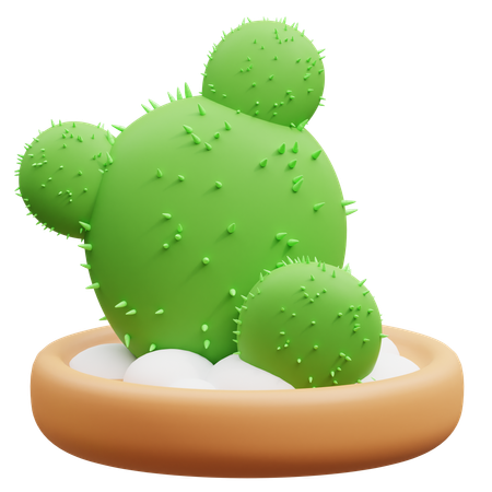 Maceta de cactus  3D Icon