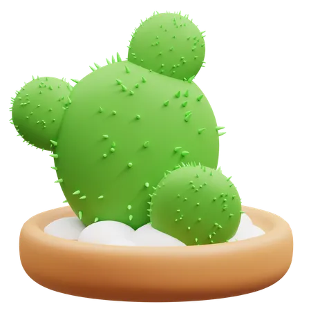 Maceta de cactus  3D Icon