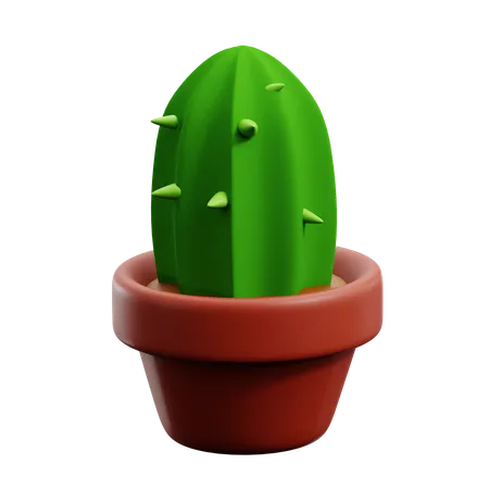 Maceta de cactus  3D Icon