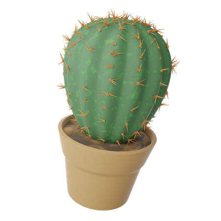 Maceta de cactus  3D Icon