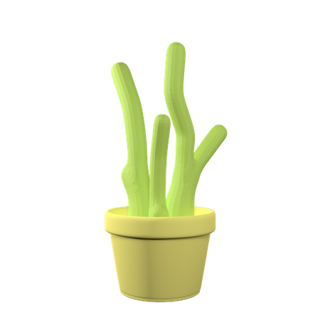 Maceta de cactus  3D Icon