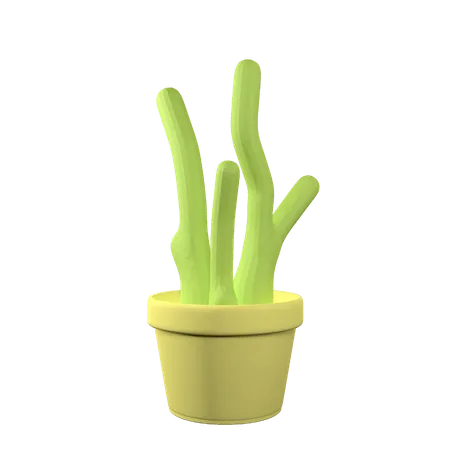 Maceta de cactus  3D Icon