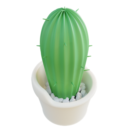 Maceta de cactus  3D Icon