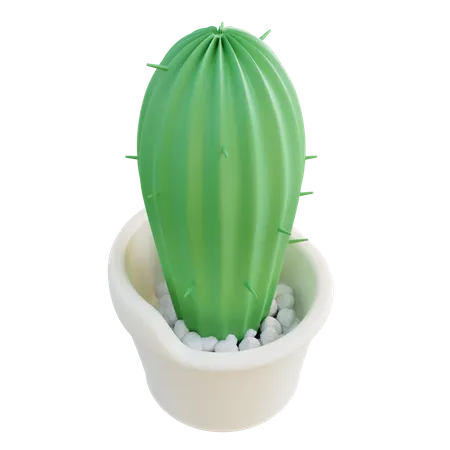 Maceta de cactus  3D Icon